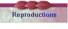 Reproductions