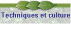 Techniques et culture