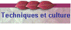 Techniques et culture